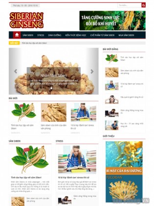 Web tin tức nhân sâm